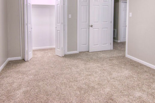 A carpeted room with multiple white doors